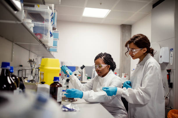 Profissionais realizando exame toxicológico em laboratório